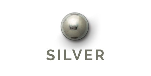 Silver Nailheads