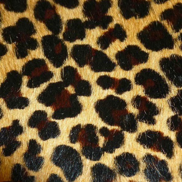 Detail of the Leopard Print 'of Iron & Oak' Hair-on-Hide