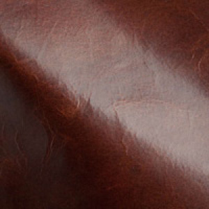 Echo<br/>Russet