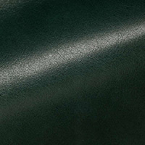 Echo<br/>Meadow Elk